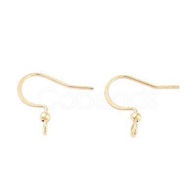 316 Surgical Stainless Steel Earring Hooks STAS-K274-10G-1