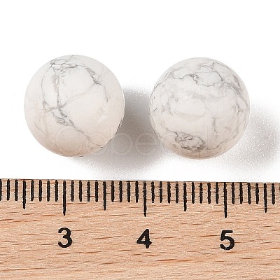 Natural Howlite No Hole Sphere Beads G-K353-04B-20-1