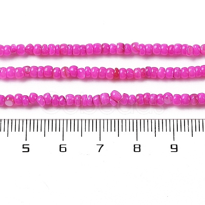 Natural Freshwater Shell Beads Strands SHEL-P017-01B-1