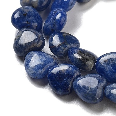 Natural Sodalite Beads Strands G-R190-10mm-37-1