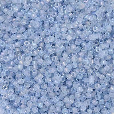 Cylinder Seed Beads X-SEED-H001-F02-1