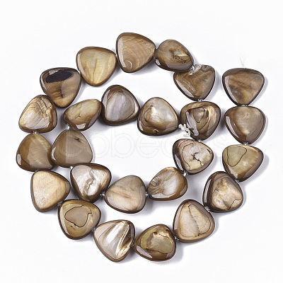 Freshwater Shell Beads Strands X-SHEL-T014-003-1