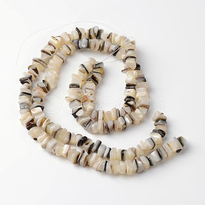 Natural Shell Rectangle Bead Strands X-BSHE-O016-08-1