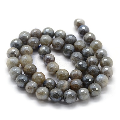 Natural Labradorite Beads Strands G-P385-01-8mm-1