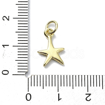 Brass Charms KK-H475-38G-03-1