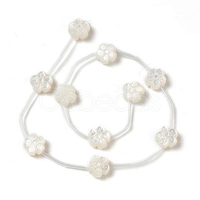 Natural White Shell Mother of Pearl Shell Beads BSHE-B005-04-1