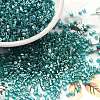 Transparent Colours Luster Glass Seed Beads SEED-S042-20B-07-1