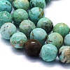 Natural Peruvian Turquoise(Jasper) Beads Strands G-E561-11-8mm-A-3