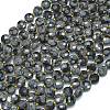 Natural Snowflake Obsidian Beads Strands G-K389-B65-01-1