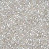 (Repacking Service Available) Glass Seed Beads SEED-C015-3mm-101-2