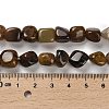 Natural Petrified Wood Beads Strands G-P497-01E-72-5