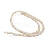 Dyed Natural Freshwater Shell Beads Strands BSHE-G039-07N-2