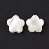 Natural Trochid Shell/Trochus Shell Beads X-SSHEL-N036-047-3