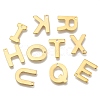 304 Stainless Steel Charms X-STAS-P141-5