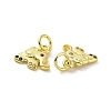 Brass Micro Pave Colorful Cubic Zirconia Charms KK-E068-VF107-3