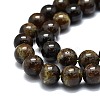 Natural Garnet Beads Strands G-E576-10C-3