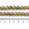 Natural Verdite Stone Beads Strands G-P530-B07-03-5