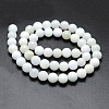 Natural Jadeite Beads Strands G-I206-05-10mm-2