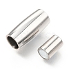 Tarnish Resistant 304 Stainless Steel Magnetic Clasps with Glue-in Ends STAS-C020-01P-2