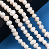 Natural Cultured Freshwater Pearl Beads Strands PEAR-N013-04E-6