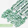 Nbeads 520Pcs 2 Style 2-Hole Glass Seed Beads SEED-NB0001-72B-5