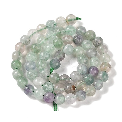 Natural Fluorite Beads Strands G-P530-B04-02-1