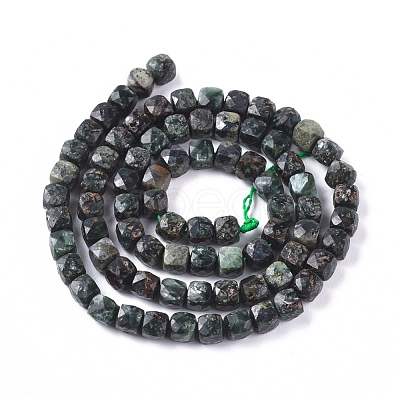 Natural Seraphinite Beads Strands G-L537-014-1