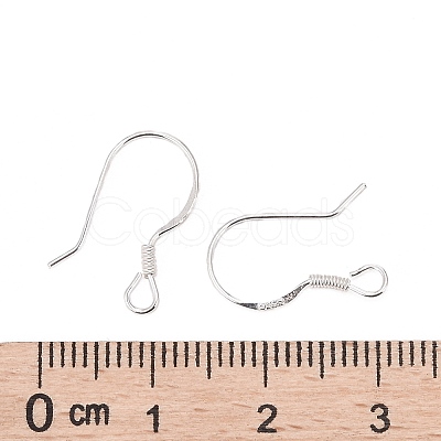 925 Sterling Silver Earring Hooks STER-G011-22-1