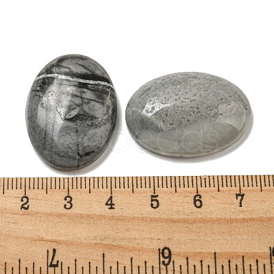 Natural Picasso Jasper Cabochons G-C115-01B-37-1