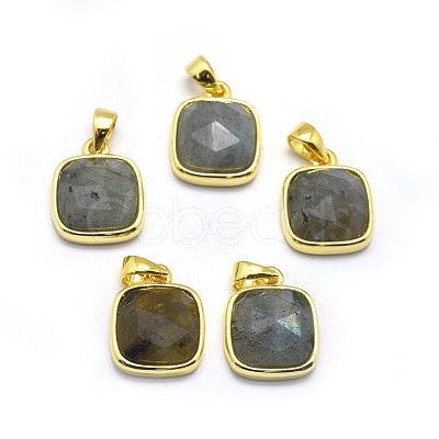 Natural Labradorite Pendants G-O176K-09G-1