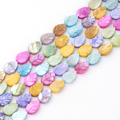 Natural Freshwater Shell Beads X-SHEL-Q008-05-1