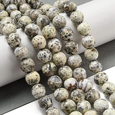 Faceted Natural Fire Crackle Agate Beads Strands G-F447-12mm-H03-1