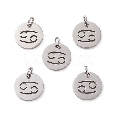 Non-Tarnish 304 Stainless Steel Charms STAS-Q201-T445-4S-1