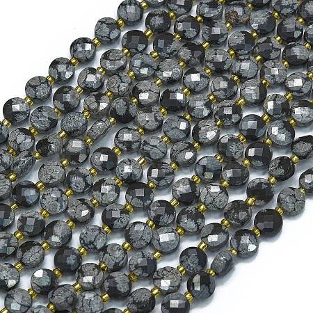 Natural Snowflake Obsidian Beads Strands G-K389-B65-01-1