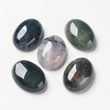 Natural Moss Agate Cabochons G-F296-09-18x25mm-1