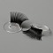 Doll Eyelashes Strips, Doll Eye Make Up Accessory, for Doll DIY Craft Making, Black, 21.5x1mm, Inner Diameter: 7.7mm