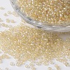 12/0 Transparent Rainbow Plated Round Glass Seed Beads SEED-K003-2mm-M13-01-1