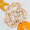 Natural Spiral Shell Beads Strands BSHE-SZ0001-03-2