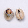 Natural Cowrie Shell Beads BSHE-Q295-4-2