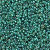 MIYUKI Round Rocailles Beads X-SEED-G007-RR1017-3