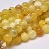 Natural Yellow Opal Round Bead Strands G-M296-02-10mm-2