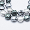 Shell Pearl Beads Strands BSHE-F001-01-4