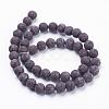 Natural Snowflake Obsidian  Beads Strands G-F520-48-8mm-2