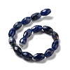 Natural Sodalite Beads Strands G-P520-C07-01-3