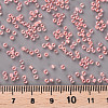 11/0 Grade A Transparent Glass Seed Beads X-SEED-N001-F-233-3