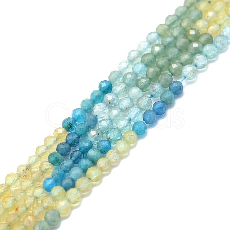Natural Apatite Beads Strands G-P457-A02-09-1