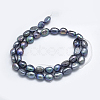Natural Cultured Freshwater Pearl Beads Strands PEAR-K003-19C-2