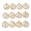 Constellation Natural Quartz Crystal Pendants G-A300-B-1