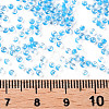 11/0 Grade A Transparent Glass Seed Beads X-SEED-N001-D-221-3
