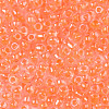 8/0 Glass Seed Beads SEED-A015-3mm-2211-01-3